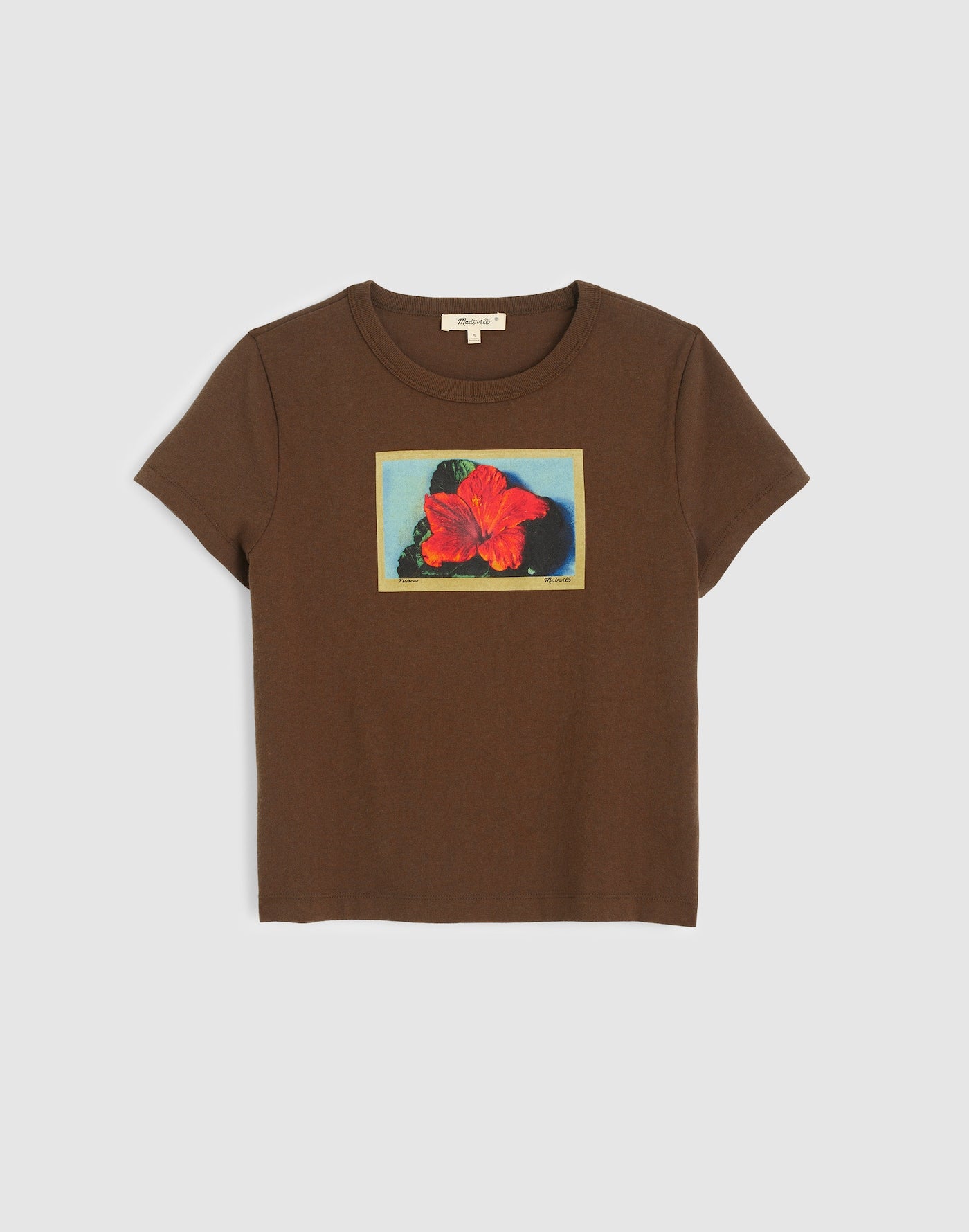 Madewell The Relaxed Baby Tee in Vintage Jersey 100% Cotton